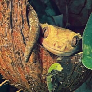 Caliban Coconut Sticker