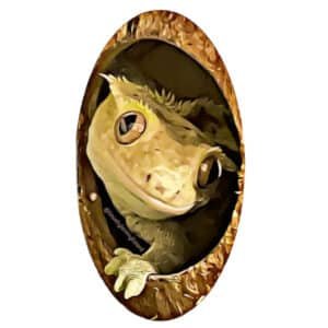 Caliban Hidey-Hole Sticker