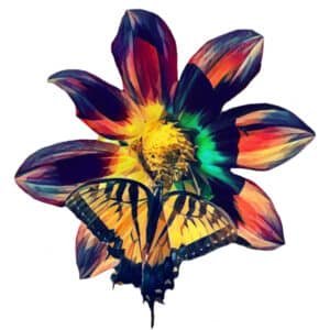 Monarch Funky Sticker