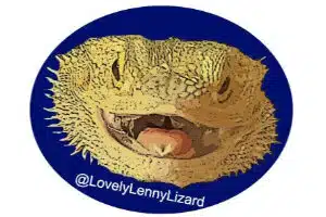 Sol Smile Sticker