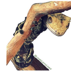 Caliban Branch Sticker