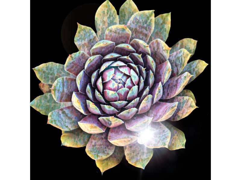 Sun Stressed Succulent Sticker