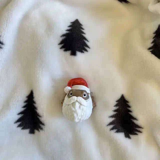 Christmas Bearded Dragon with Beard and Red Hat-MAGNET - Image 6