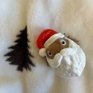 Christmas Bearded Dragon with Beard and Red Hat-MAGNET