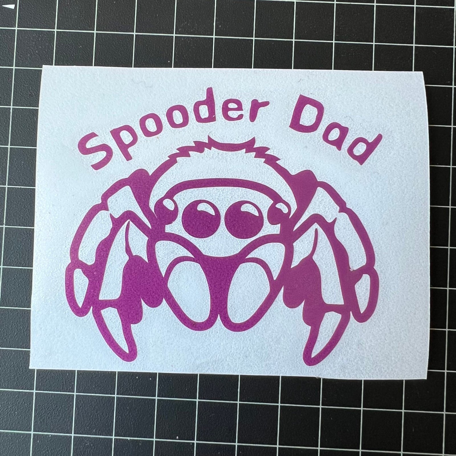 Spooder Dad Vinyl Sticker-Jumping Spider - Image 6