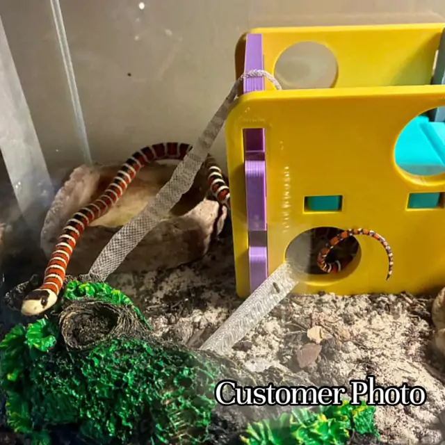 Playground Hide- Enrichment - Image 5