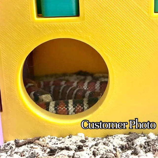 Playground Hide- Enrichment - Image 6