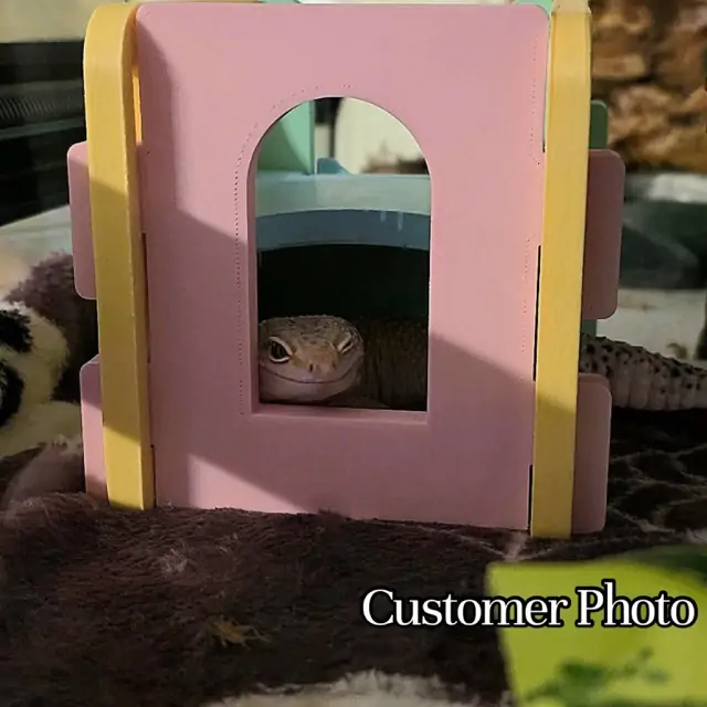 Playground Hide- Enrichment - Image 8