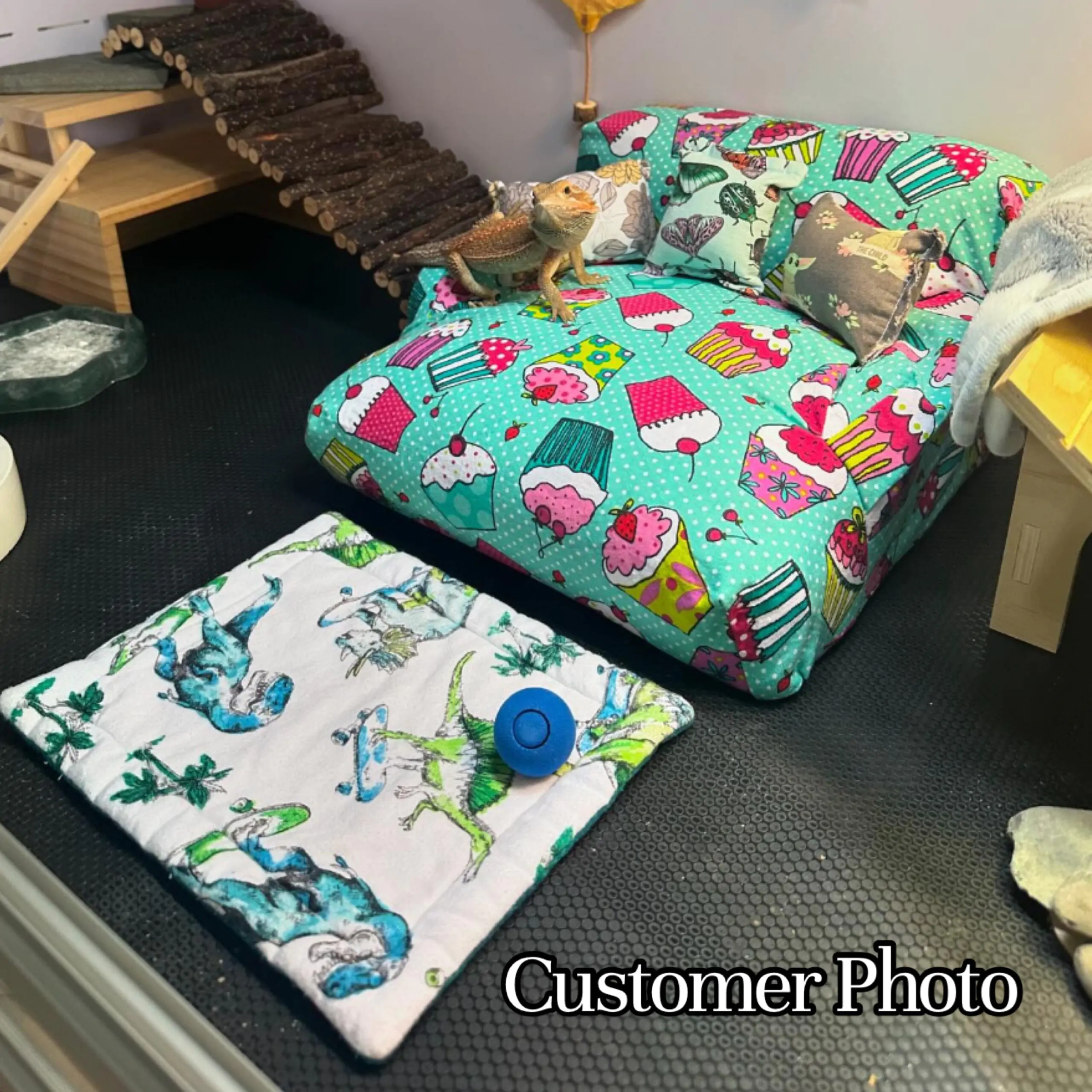 Water Resistant Reptile Couches - Image 27