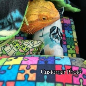 Reptile Blanket