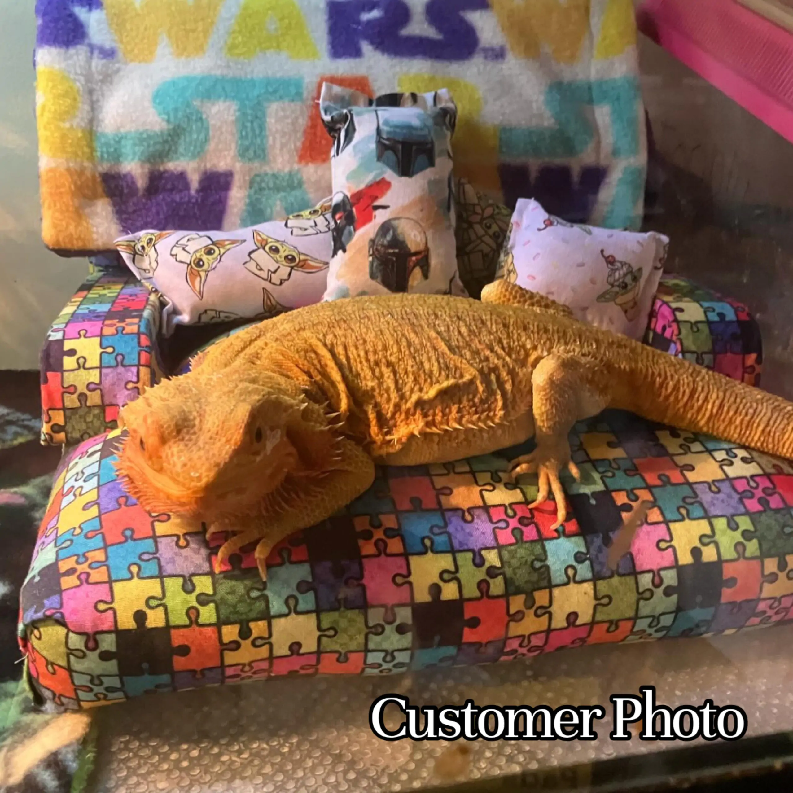 Water Resistant Reptile Couches - Image 28