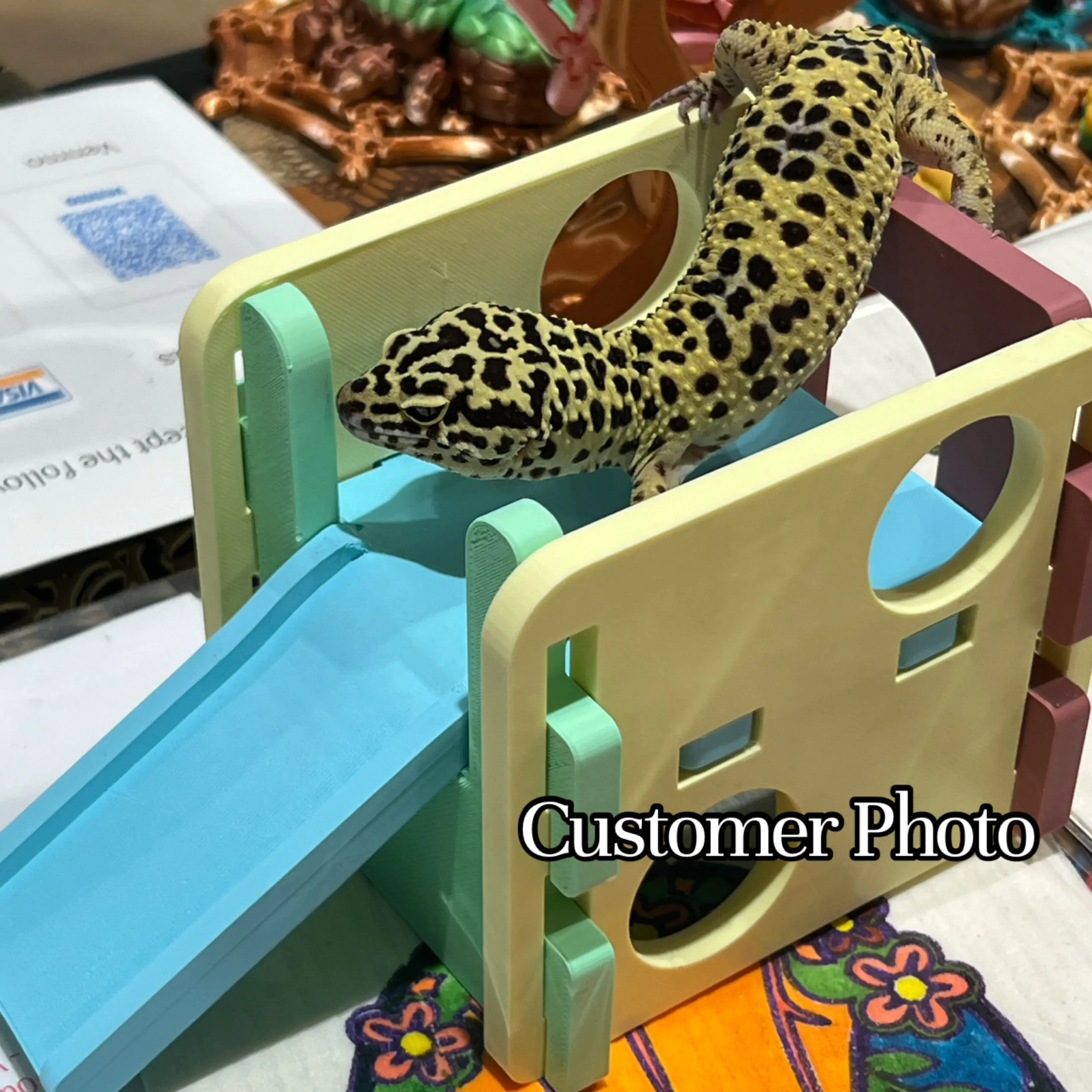 Playground Hide- Enrichment - Image 9