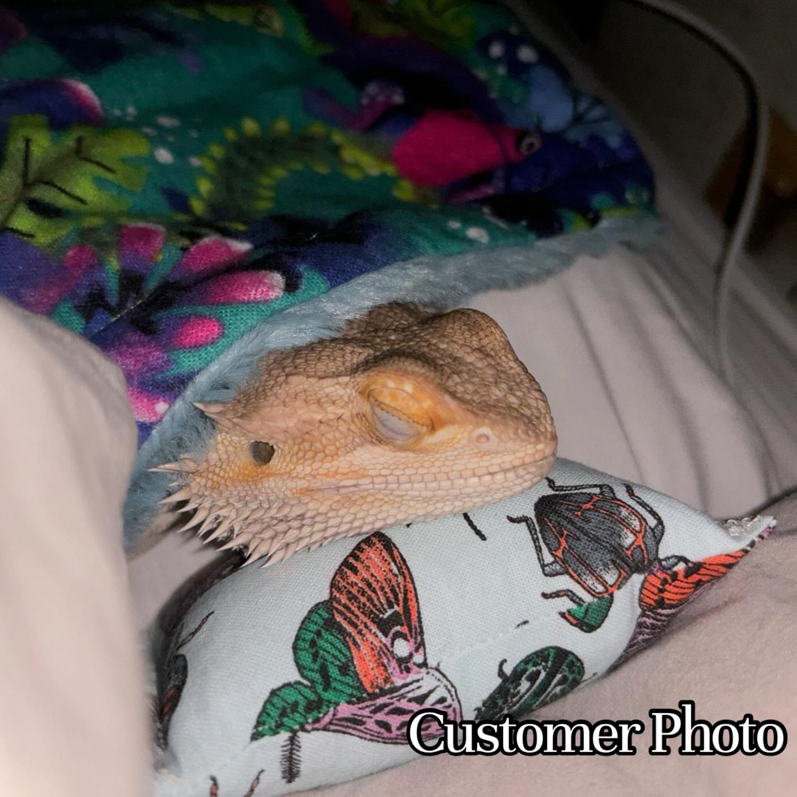 Reptile Rug - Image 15